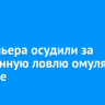 Браконьера осудили за незаконную ловлю омуля на Байкале
