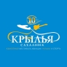 «Крылья Сахалина» снова в небе: звезды рока, авиашоу и спорт на острове