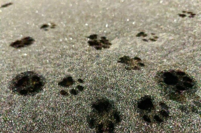 Москвичей предупредили о резком похолодании на выходных