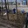 В Якутске с 25 апреля начнутся общегородские субботники