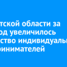 В Иркутской области за 2025 год увеличилось количество индивидуальных предпринимателей