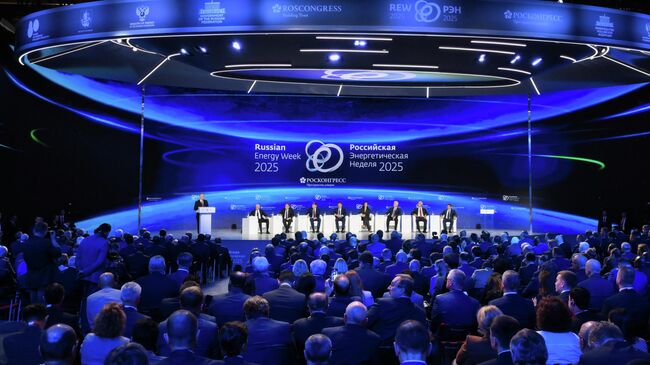 Россия занимает 17 процентов мирового рынка энергоресурсов, заявил Новак Россия занимает 17 процентов мирового рынка энергоресурсов, заявил Новак