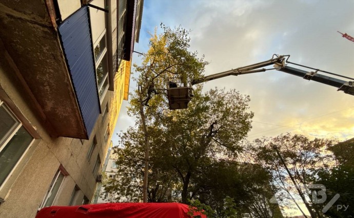 В Южно-Сахалинске спасали мужчину, застрявшего на дереве на уровне пятого этажа