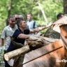 В Белгороде на субботник в Архиерейскую рощу пришли более 800 человек