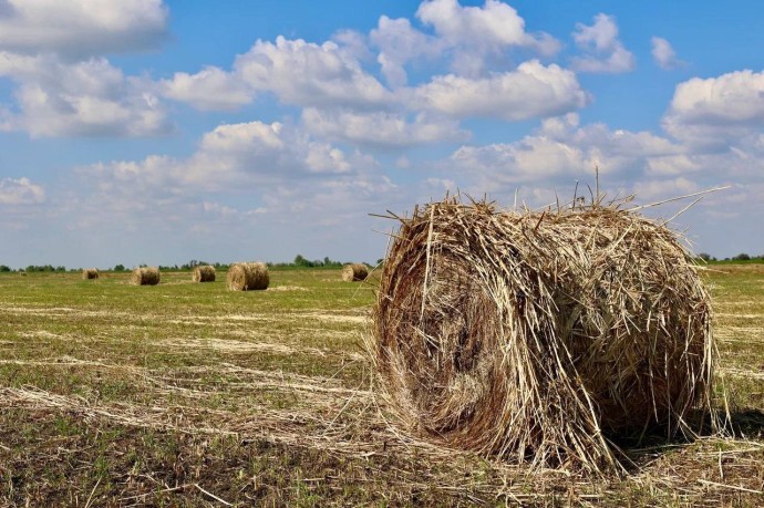 Зачем женщинам 28 сентября нужно поваляться в поле