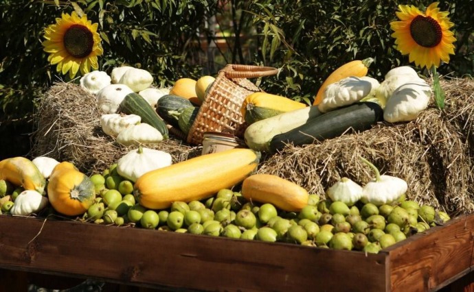 Зоопарк досрочно завершает приём урожая: щедрые сахалинцы принесли много вкусного и полезного