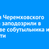 Жителя Черемховского района заподозрили в убийстве собутыльника из ревности