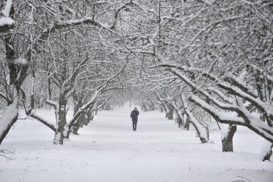 Синоптик Ильин не исключил, что Москву накроет мощный снежный циклон 24 ноября