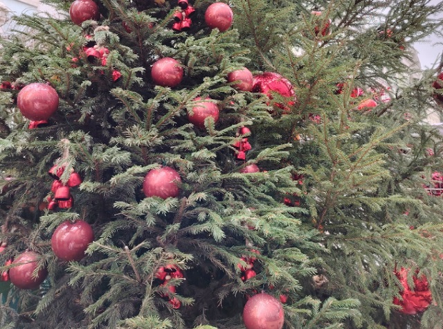 20 декабря в Саранске пройдет предновогодняя ярмарка 20 декабря в Саранске пройдет предновогодняя ярмарка