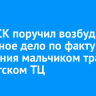 Глава СК поручил возбудить уголовное дело по факту получения мальчиком травмы в иркутском ТЦ