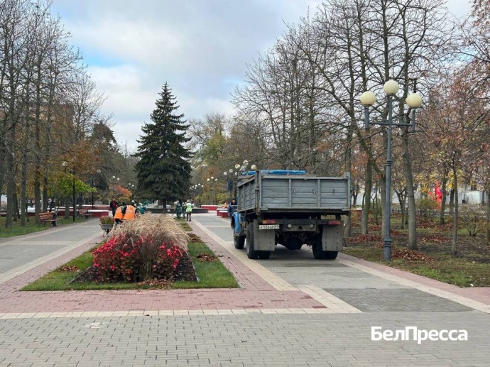 В Белгороде начали готовить клумбы и деревья к зиме (видео) В Белгороде начали готовить клумбы и деревья к зиме (видео)