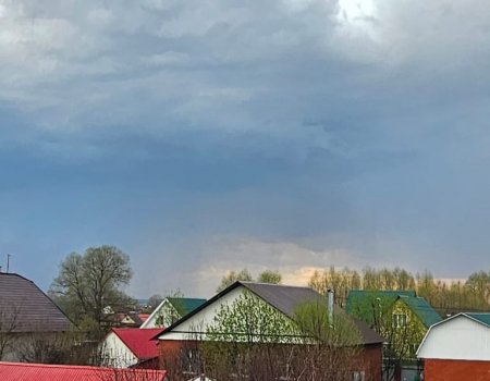 В ближайшие три дня в Башкирии пройдут дожди с грозами