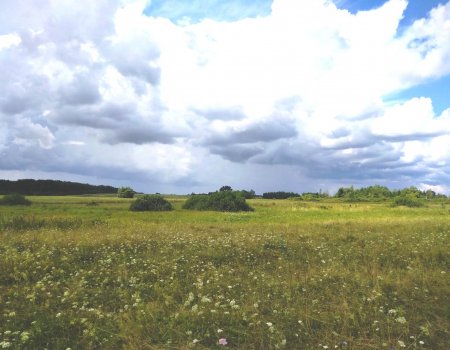 В ближайшие дни в Башкирии будет жарко В ближайшие дни в Башкирии будет жарко