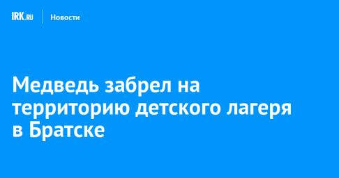 Медведь забрел на территорию детского лагеря в Братске