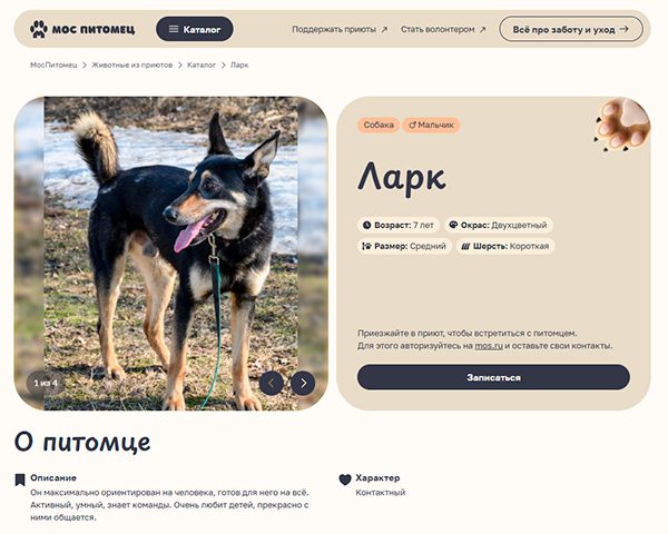 На mos.ru заработал сервис по выбору домашнего животного из приюта На mos.ru заработал сервис по выбору домашнего животного из приюта