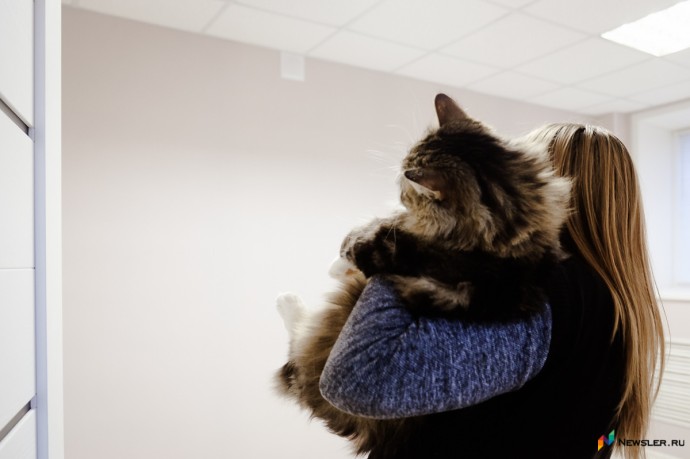 Половине семей в Кировской области доступна аренда квартиры Половине семей в Кировской области доступна аренда квартиры