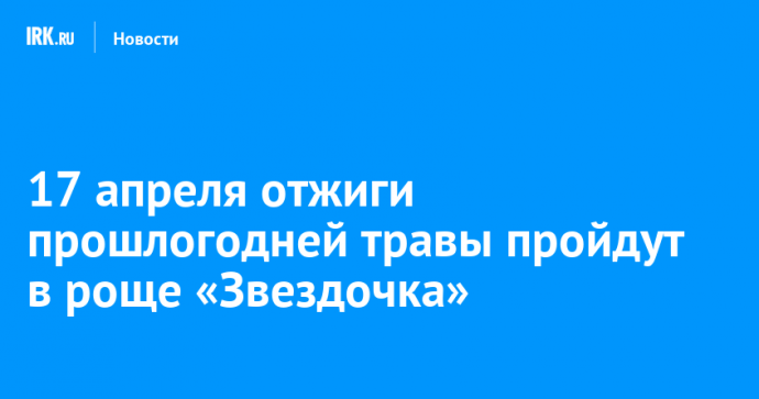 17 апреля отжиги прошлогодней травы пройдут в роще «Звездочка»