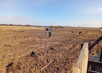 Кедровый бор появился в природном парке на юге Приамурья