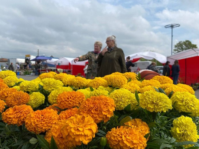 В Курске пройдёт весенняя садовая ярмарка