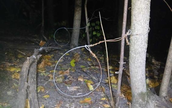 В Курском районе обнаружили и изъяли запрещённые ловушки для диких животных