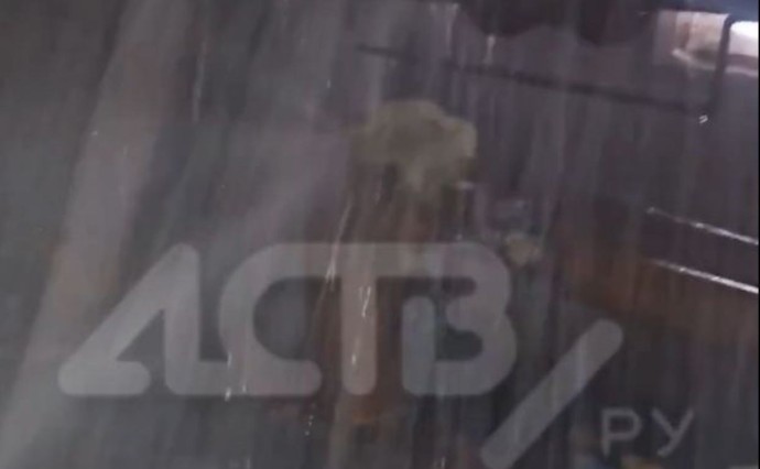 "Трубу разорвало до вентилей": в Южно-Сахалинске уже неделю заливает подвал дома