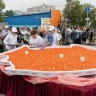 350 кг икры съели за 10 лет гости фестиваля "Остров-рыба" в Южно-Сахалинске