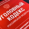 В России усилят наказание за хулиганство в отношении беременных и детей