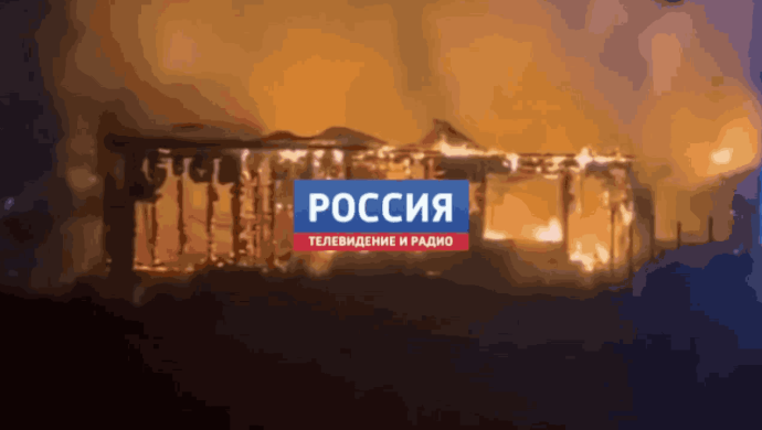 Собака погибла в огне в коттеджном посёлке у деревни Медвенка