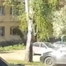 В Башкирии лось «протаранил» окно жилого дома