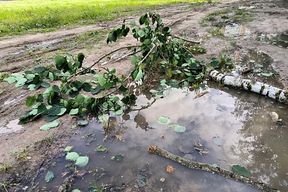 Стало известно о пострадавших из-за урагана в Горловке