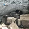 Неожиданная встреча: большую змею заметили в центре Владивостока