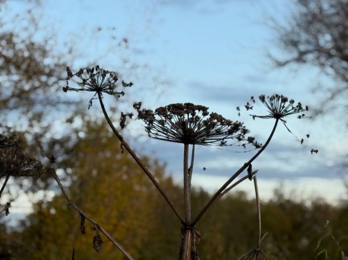 Синоптики отметили температурный максимум в Пермском крае 23 сентября Синоптики отметили температурный максимум в Пермском крае 23 сентября