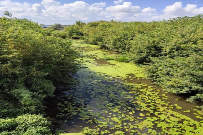 В селе Тоцком Оренбургской области расчистят русло реки Сороки для защиты от паводков В селе Тоцком Оренбургской области расчистят русло реки Сороки для защиты от паводков