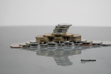 Жительница Башкирии «подарила» мошенникам почти 1 млн рублей