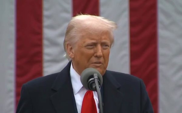 Экс-министр экономики Бурятии заявила о развязанной Трампом мировой торговой войне
