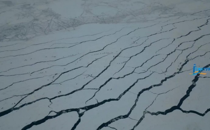 Сахалинским рыбакам, унесённым в море на льдинах, посвятили клип