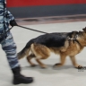 В Уфе из колледжа эвакуировали студентов и сотрудников