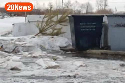 В Моховой Пади обнаружили «последнюю» выброшенную новогоднюю елку