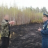 Сжигание сухой травы привело к лесному пожару в Иркутской области