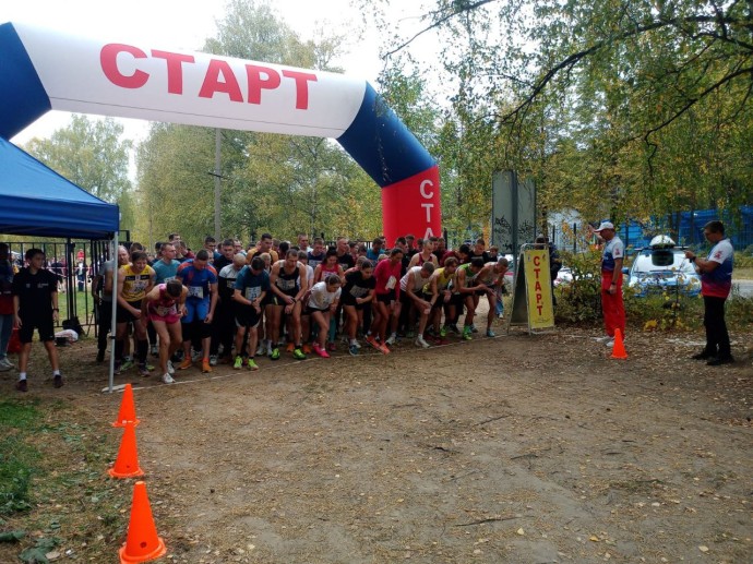 Жители Ярославской области приняли участие в «Кроссе нации» Жители Ярославской области приняли участие в «Кроссе нации»