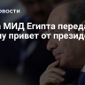 Глава МИД Египта передал Путину привет от президента