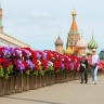 Синоптик рассказал, когда в Москву вернется летняя погода