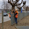 В Ярославле демонтируют пришедшее в негодность ограждение на проспекте Фрунзе