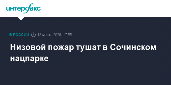 Низовой пожар тушат в Сочинском нацпарке