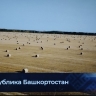 Премьер Башкирии объяснил суть Года единства народов России