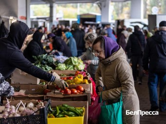 Осени плоды и краски. Почему стоит побывать на фермерской ярмарке в Белгороде