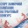 Новгородская область — один из лидеров конкурса ПФКИ