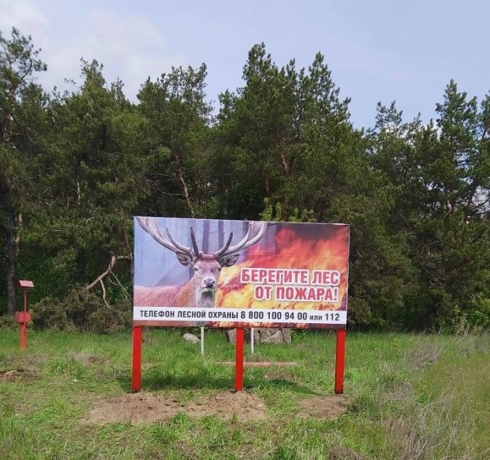 В Курской области оборудовали 63 зоны отдыха и усилили меры противопожарной защиты лесов