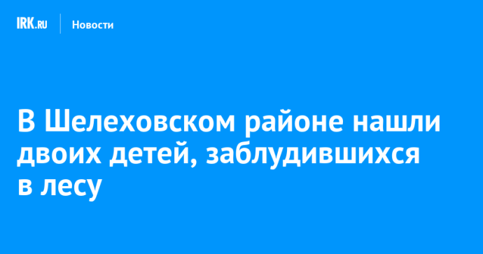 В Шелеховском районе нашли двоих детей, заблудившихся в лесу