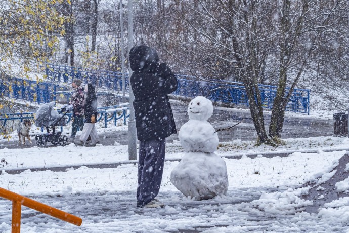 Синоптик Цыганков: Полноценной зимы москвичам в ближайшее время ждать не стоит